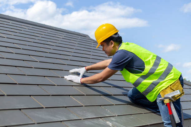 Best Best Roofing Contractors  in Pineland, TX
