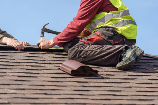 Best Commercial Roofing Services  in Pineland, TX
