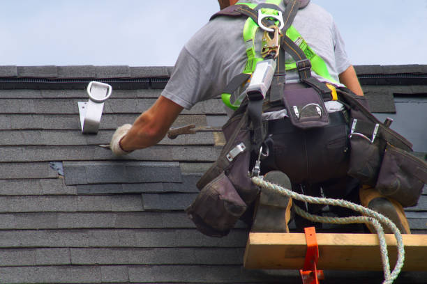 Best Roof Gutter Cleaning  in Pineland, TX