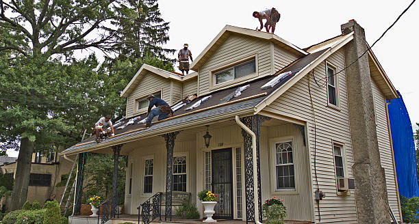 Best Roof Repair Services  in Pineland, TX