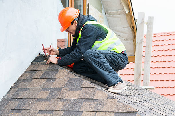 Best Roof Repair Specialists  in Pineland, TX