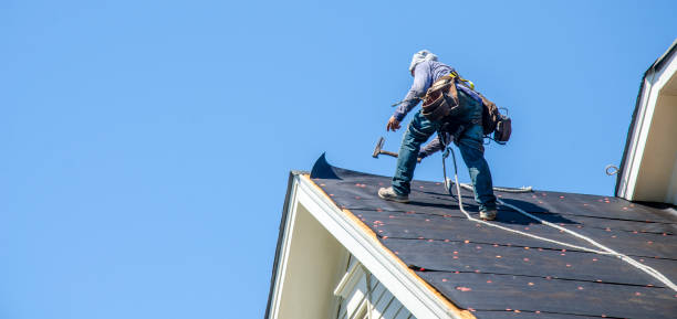 Best Emergency Roof Repair  in Pineland, TX
